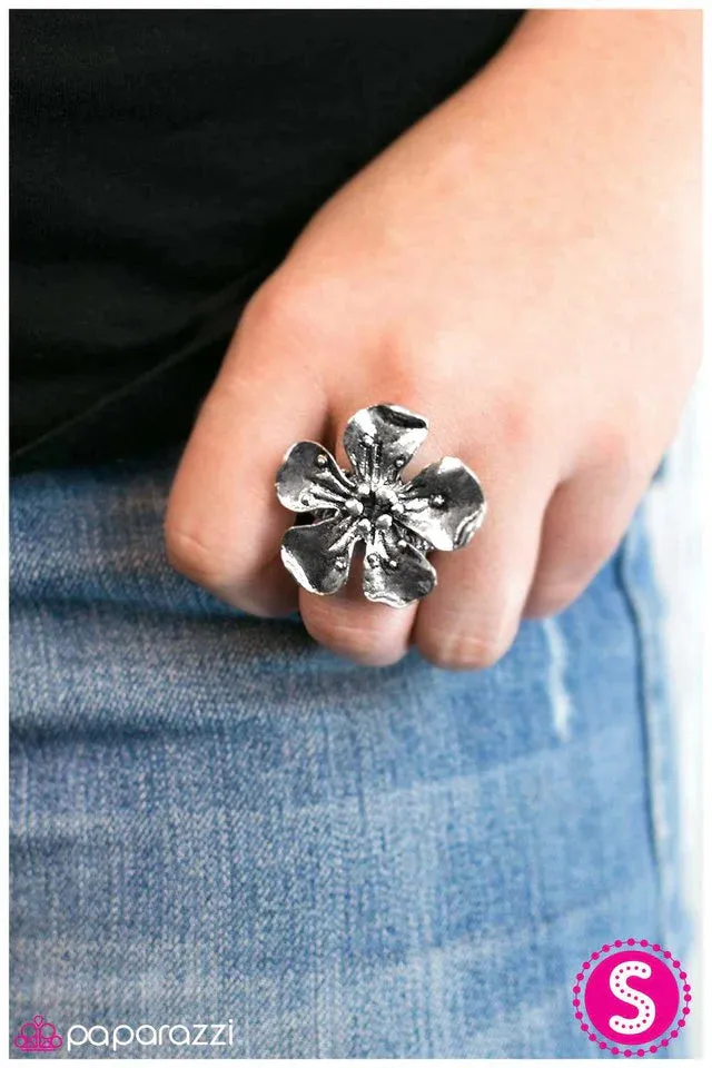 Paparazzi Ring ~ Summer Romance - Silver