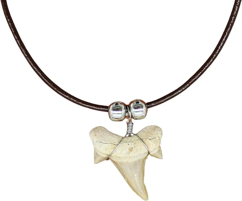 shark tooth necklace