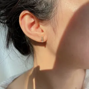 Stylish earrings